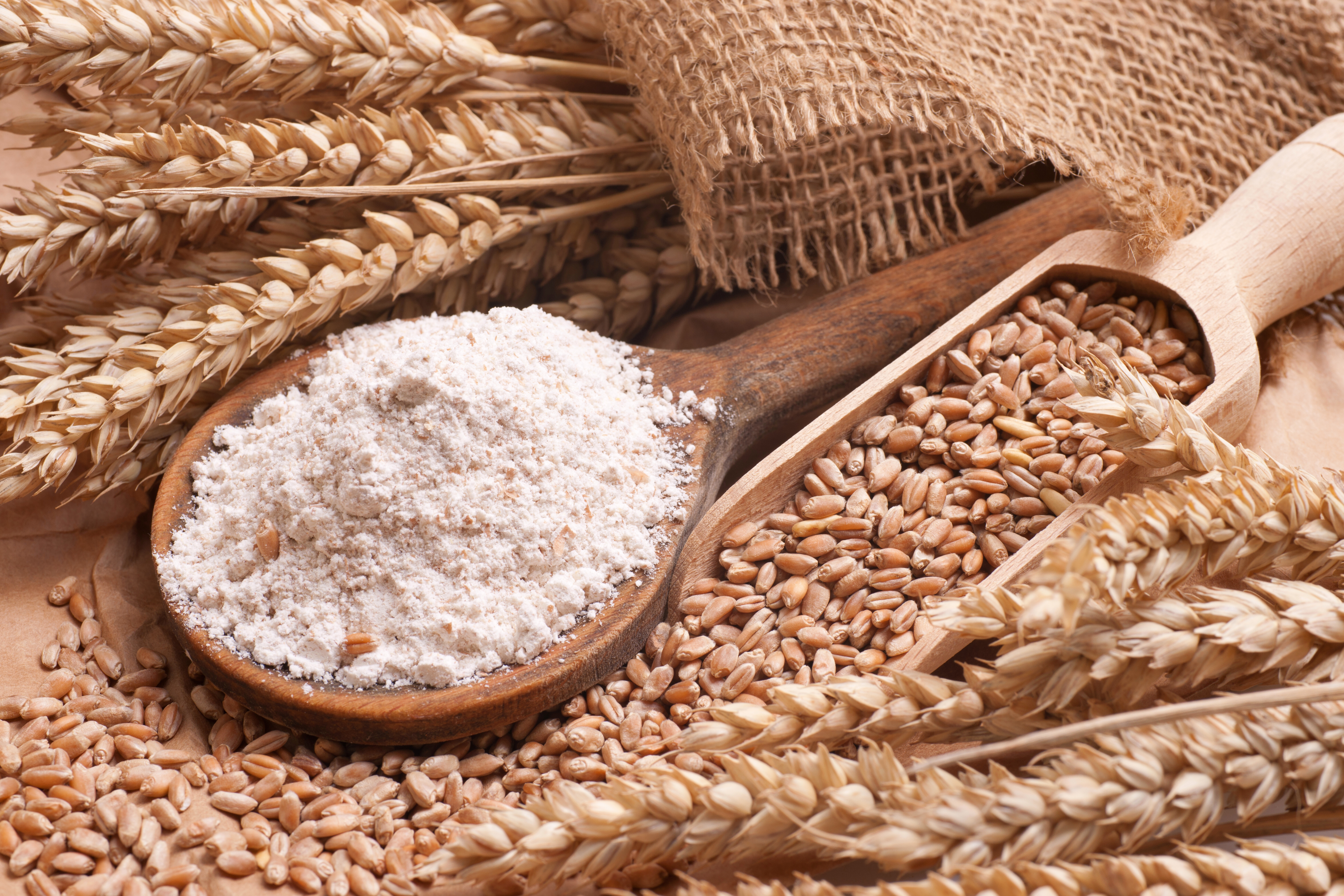 Agriculture Industry - Sartorius Croatia